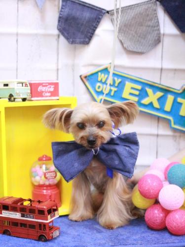 20230415マックスくん